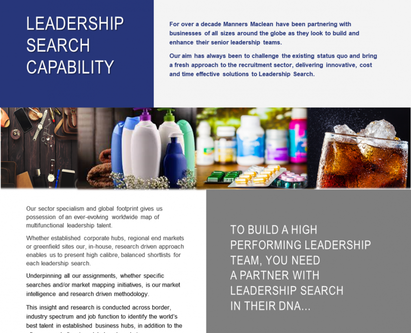 Leadership Search cover